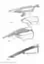 Fig. 04 - Kitchen slicer and applicator
