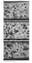 Fig. 01 - POROUS CERAMIC ARTICLE AND METHOD OF MANUFACTURING THE SAME