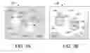 Fig. 03 - POROUS CERAMIC ARTICLE AND METHOD OF MANUFACTURING THE SAME