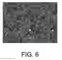 Fig. 06 - POROUS CERAMIC ARTICLE AND METHOD OF MANUFACTURING THE SAME