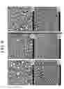 Fig. 09 - POROUS CERAMIC ARTICLE AND METHOD OF MANUFACTURING THE SAME