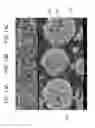 Fig. 13 - POROUS CERAMIC ARTICLE AND METHOD OF MANUFACTURING THE SAME