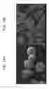 Fig. 15 - POROUS CERAMIC ARTICLE AND METHOD OF MANUFACTURING THE SAME