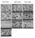 Fig. 16 - POROUS CERAMIC ARTICLE AND METHOD OF MANUFACTURING THE SAME