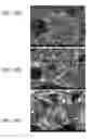 Fig. 17 - POROUS CERAMIC ARTICLE AND METHOD OF MANUFACTURING THE SAME