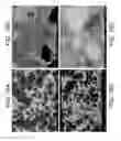 Fig. 19 - POROUS CERAMIC ARTICLE AND METHOD OF MANUFACTURING THE SAME