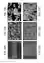 Fig. 23 - POROUS CERAMIC ARTICLE AND METHOD OF MANUFACTURING THE SAME
