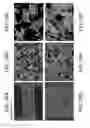 Fig. 27 - POROUS CERAMIC ARTICLE AND METHOD OF MANUFACTURING THE SAME