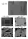 Fig. 35 - POROUS CERAMIC ARTICLE AND METHOD OF MANUFACTURING THE SAME