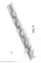 Fig. 08 - Printhead with bond pad surrounded by dam