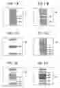 Fig. 08 - Inkjet recording apparatus, printer, and method for manufacturing cured product