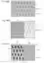 Fig. 09 - Security devices and methods of manufacture thereof