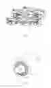 Fig. 02 - Hydraulic bushing and rail vehicle