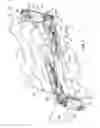 Fig. 09 - Lumbar support system