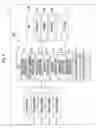 Fig. 02 - Autonomous driving device and autonomous driving control method that displays the following road traveling route