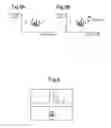 Fig. 07 - Sightline estimation system and sightline estimation method