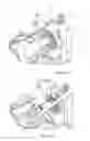 Fig. 08 - Gearbox assembly for an electric power steering assembly