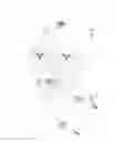 Fig. 09 - Utility vehicle