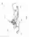 Fig. 03 - Drive train components for recreational vehicles