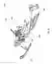 Fig. 04 - Drive train components for recreational vehicles