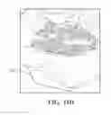 Fig. 22 - Systems and methods for determining shrinkage of a commodity