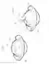 Fig. 02 - Wrapper for confectionary products
