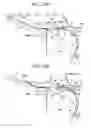 Fig. 24 - Apparatus for processing sheets and apparatus for forming images provided with the same
