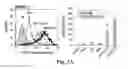 Fig. 03 - Cationic polymer coated mesoporous silica nanoparticles and uses thereof