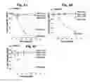 Fig. 07 - Cationic polymer coated mesoporous silica nanoparticles and uses thereof