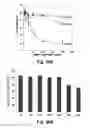 Fig. 37 - Cationic polymer coated mesoporous silica nanoparticles and uses thereof