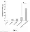 Fig. 40 - Cationic polymer coated mesoporous silica nanoparticles and uses thereof