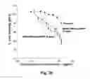 Fig. 41 - Cationic polymer coated mesoporous silica nanoparticles and uses thereof