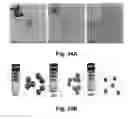 Fig. 45 - Cationic polymer coated mesoporous silica nanoparticles and uses thereof