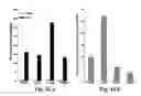 Fig. 55 - Cationic polymer coated mesoporous silica nanoparticles and uses thereof