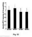 Fig. 70 - Cationic polymer coated mesoporous silica nanoparticles and uses thereof