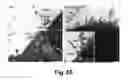 Fig. 72 - Cationic polymer coated mesoporous silica nanoparticles and uses thereof