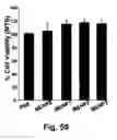 Fig. 76 - Cationic polymer coated mesoporous silica nanoparticles and uses thereof