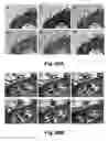 Fig. 77 - Cationic polymer coated mesoporous silica nanoparticles and uses thereof