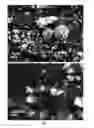 Fig. 02 - Metal hydride nanoparticles