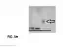 Fig. 07 - Ferrocene catalyzed method for preparing carbon nanotubes