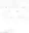 Fig. 241 - Cytotoxic peptides and conjugates thereof