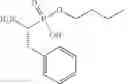 Fig. 357 - Cytotoxic peptides and conjugates thereof