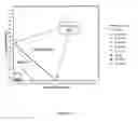 Fig. 15 - Antibiotic sensitivity-restoring and photosensitive agents