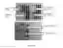 Fig. 58 - Antibiotic sensitivity-restoring and photosensitive agents