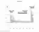 Fig. 06 - CXCR4 chemokine receptor modulators