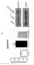 Fig. 09 - CXCR4 chemokine receptor modulators