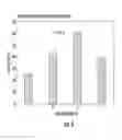 Fig. 07 - Catalytic hydrolysis and dehydration of saccharides