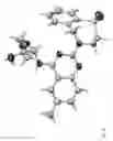 Fig. 11 - Crystalline forms of (3-amino-oxetan-3-ylmethyl)-[2-(5,5-dioxo-5,6,7,9-tetrahydro-5lambda*6*-thia-8-aza-benzocyclohepten-8-yl)-6-methyl-quinazolin-4-yl]-amine
