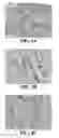 Fig. 04 - PHARMACEUTICAL COMPOSITIONS COMPRISING PERILLYL ALCOHOL DERIVATIVES