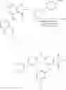Fig. 488 - TYK2 inhibitors and uses thereof